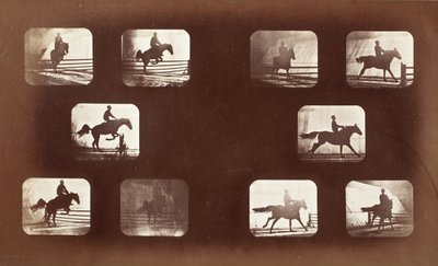 Dyrs bevægelse (mand på hest over forhindringer) af Eadweard Muybridge