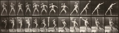 Dyrs bevægelser (planche 319) (Mand kaster en bold) af Eadweard Muybridge