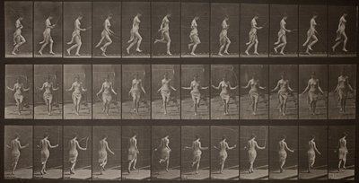 Dyrs bevægelse, plade 174 af Eadweard Muybridge