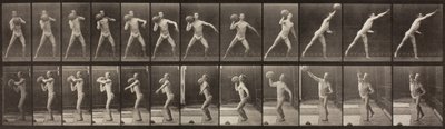 Dyrebevægelser, tavle 319, 1887 af Eadweard Muybridge
