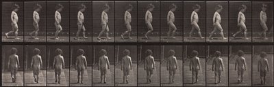 Animal Locomotion, plade 467 af Eadweard Muybridge