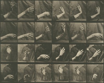 Dyrs bevægelse, plade 535 af Eadweard Muybridge