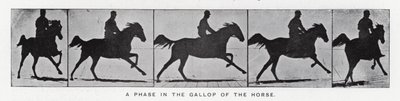 Eadweard Muybridge: En fase i hestens galop (s/h foto) af Eadweard Muybridge