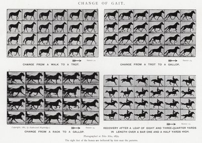 Eadweard Muybridge: Change of Gait (s/h-billede) af Eadweard Muybridge
