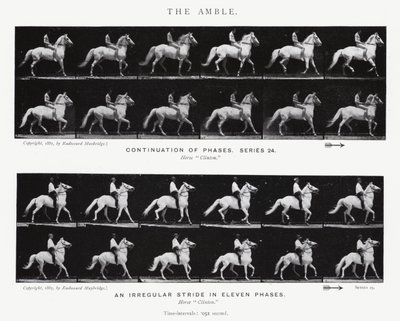 Eadweard Muybridge: The Amble (s/h foto) af Eadweard Muybridge