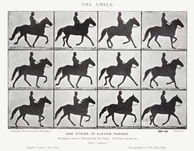 Eadweard Muybridge: The Amble (s/h foto) af Eadweard Muybridge
