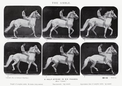 Eadweard Muybridge: The Amble af Eadweard Muybridge