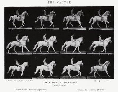 Eadweard Muybridge: The Canter (s/h foto) af Eadweard Muybridge