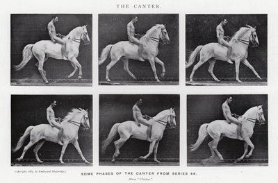Eadweard Muybridge: The Canter (s/h foto) af Eadweard Muybridge