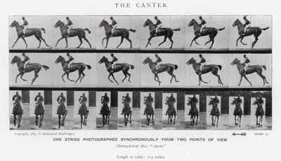 Eadweard Muybridge: The Canter (s/h foto) af Eadweard Muybridge