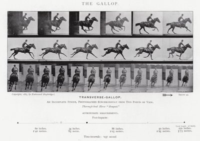 Eadweard Muybridge: The Gallop (s/h foto) af Eadweard Muybridge