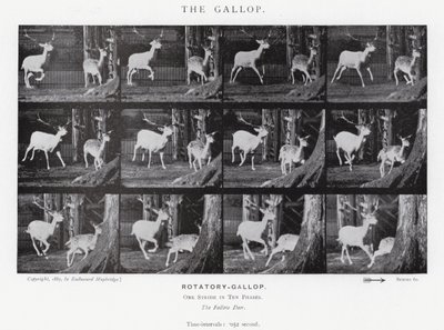Eadweard Muybridge: The Gallop (s/h foto) af Eadweard Muybridge