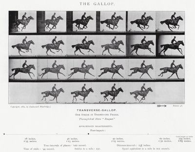 Eadweard Muybridge: The Gallop (s/h foto) af Eadweard Muybridge