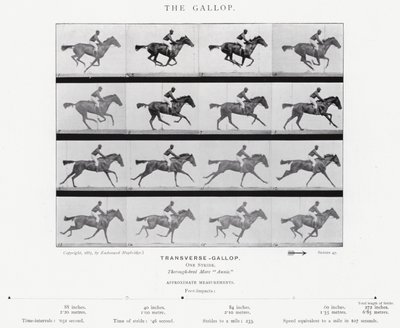 Eadweard Muybridge: The Gallop (s/h foto) af Eadweard Muybridge