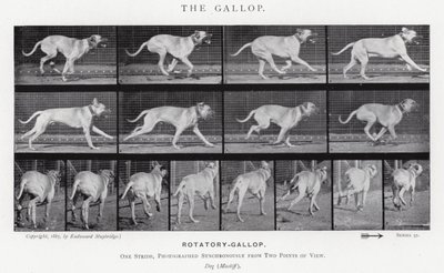 Eadweard Muybridge: The Gallop (s/h foto) af Eadweard Muybridge