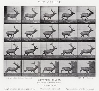 Eadweard Muybridge: The Gallop (s/h foto) af Eadweard Muybridge