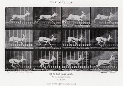 Eadweard Muybridge: The Gallop (s/h foto) af Eadweard Muybridge