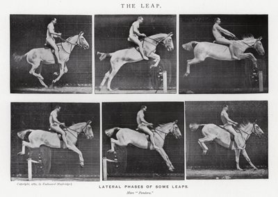 Eadweard Muybridge: The Leap (s/h foto) af Eadweard Muybridge