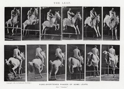 Eadweard Muybridge: The Leap (s/h foto) af Eadweard Muybridge