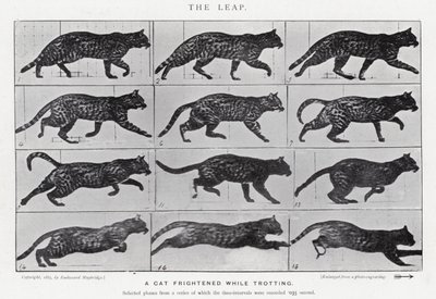 Eadweard Muybridge: The Leap (s/h foto) af Eadweard Muybridge