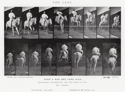 Eadweard Muybridge: The Leap (s/h foto) af Eadweard Muybridge