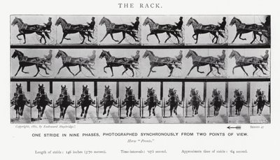Eadweard Muybridge: The Rack (s/h foto) af Eadweard Muybridge