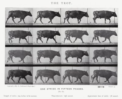 Eadweard Muybridge: The Trot (s/h foto) af Eadweard Muybridge