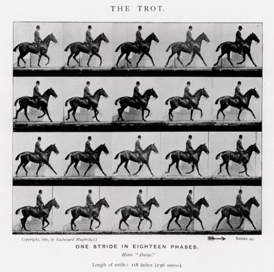 Eadweard Muybridge: The Trot af Eadweard Muybridge