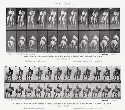 Eadweard Muybridge: The Trot af Eadweard Muybridge