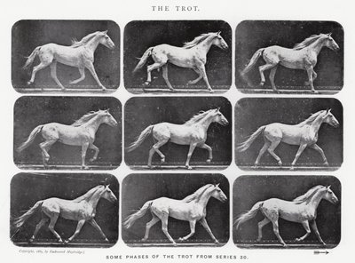 Eadweard Muybridge: The Trot af Eadweard Muybridge