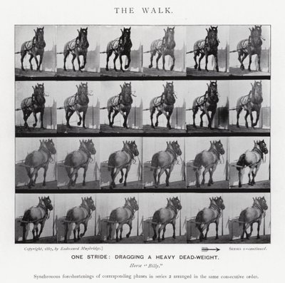 Eadweard Muybridge: The Walk (s/h foto) af Eadweard Muybridge