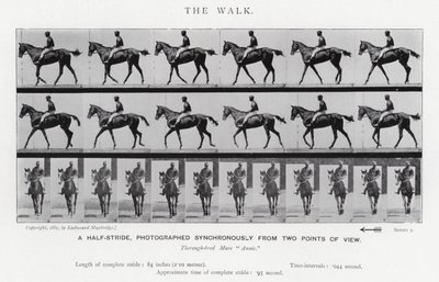 Eadweard Muybridge: The Walk (s/h foto) af Eadweard Muybridge