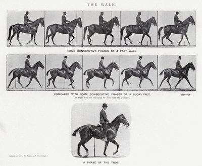 Eadweard Muybridge: The Walk (s/h foto) af Eadweard Muybridge