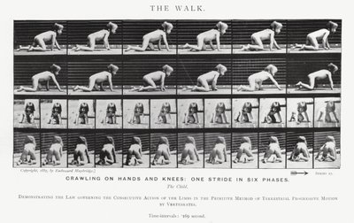Eadweard Muybridge: The Walk (s/h foto) af Eadweard Muybridge