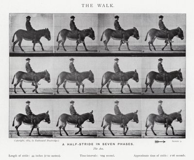 Eadweard Muybridge: The Walk (s/h foto) af Eadweard Muybridge