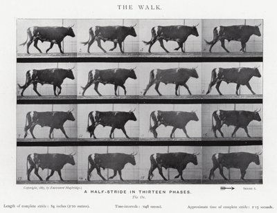 Eadweard Muybridge: The Walk (s/h foto) af Eadweard Muybridge