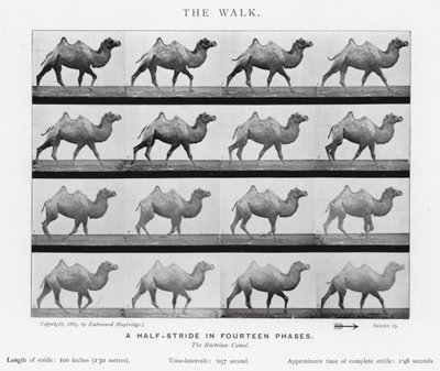 Eadweard Muybridge: The Walk (s/h foto) af Eadweard Muybridge