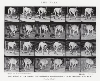 Eadweard Muybridge: The Walk (s/h foto) af Eadweard Muybridge
