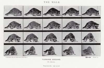 Eadweard Muybridge: The Walk (s/h foto) af Eadweard Muybridge