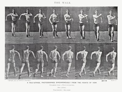 Eadweard Muybridge: The Walk (s/h foto) af Eadweard Muybridge