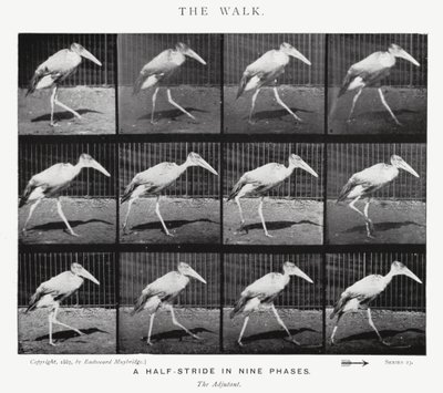 Eadweard Muybridge: The Walk (s/h foto) af Eadweard Muybridge