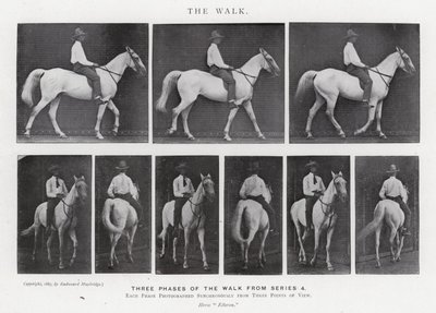 Eadweard Muybridge: The Walk (s/h foto) af Eadweard Muybridge