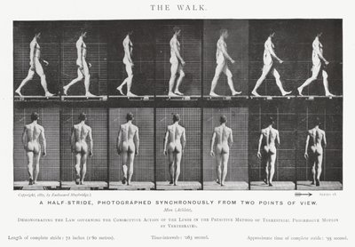 Eadweard Muybridge: The Walk (s/h foto) af Eadweard Muybridge