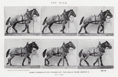 Eadweard Muybridge: The Walk (s/h foto) af Eadweard Muybridge
