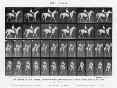 Eadweard Muybridge: The Walk (s/h foto) af Eadweard Muybridge