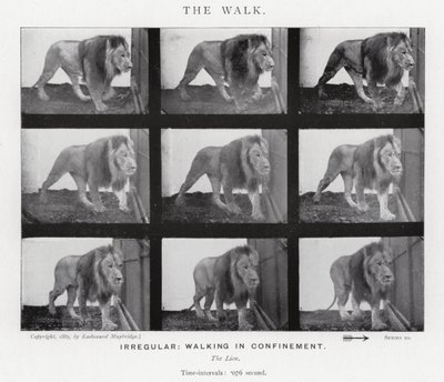 Eadweard Muybridge: The Walk (s/h foto) af Eadweard Muybridge