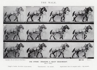 Eadweard Muybridge: The Walk af Eadweard Muybridge