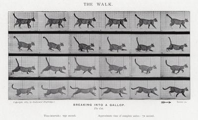Eadweard Muybridge: The Walk af Eadweard Muybridge