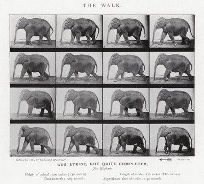 Eadweard Muybridge: The Walk af Eadweard Muybridge
