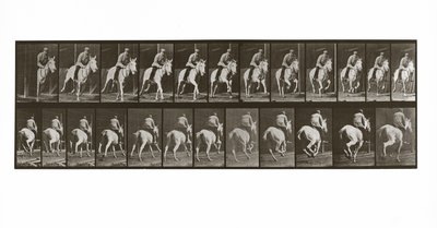 Galoperende hest med rytter, plade 635 fra Animal Locomotion, 1887 af Eadweard Muybridge